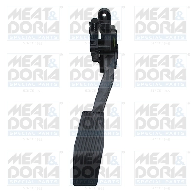 Accelerator Pedal Unit